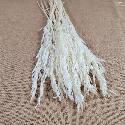 Dried Oats Flower Bundle: Home & Wedding Decor, 20 Stems