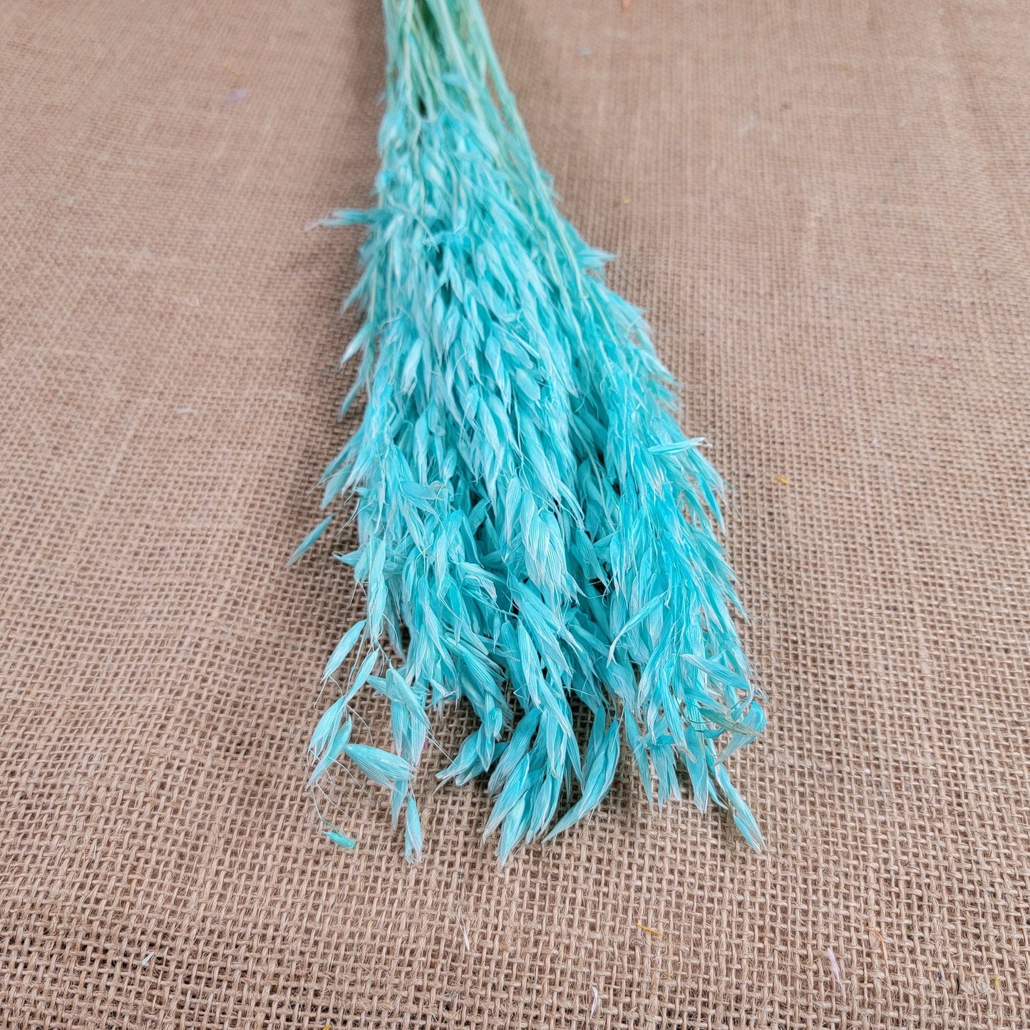Dried Oats Flower Bundle: Home & Wedding Decor, 20 Stems