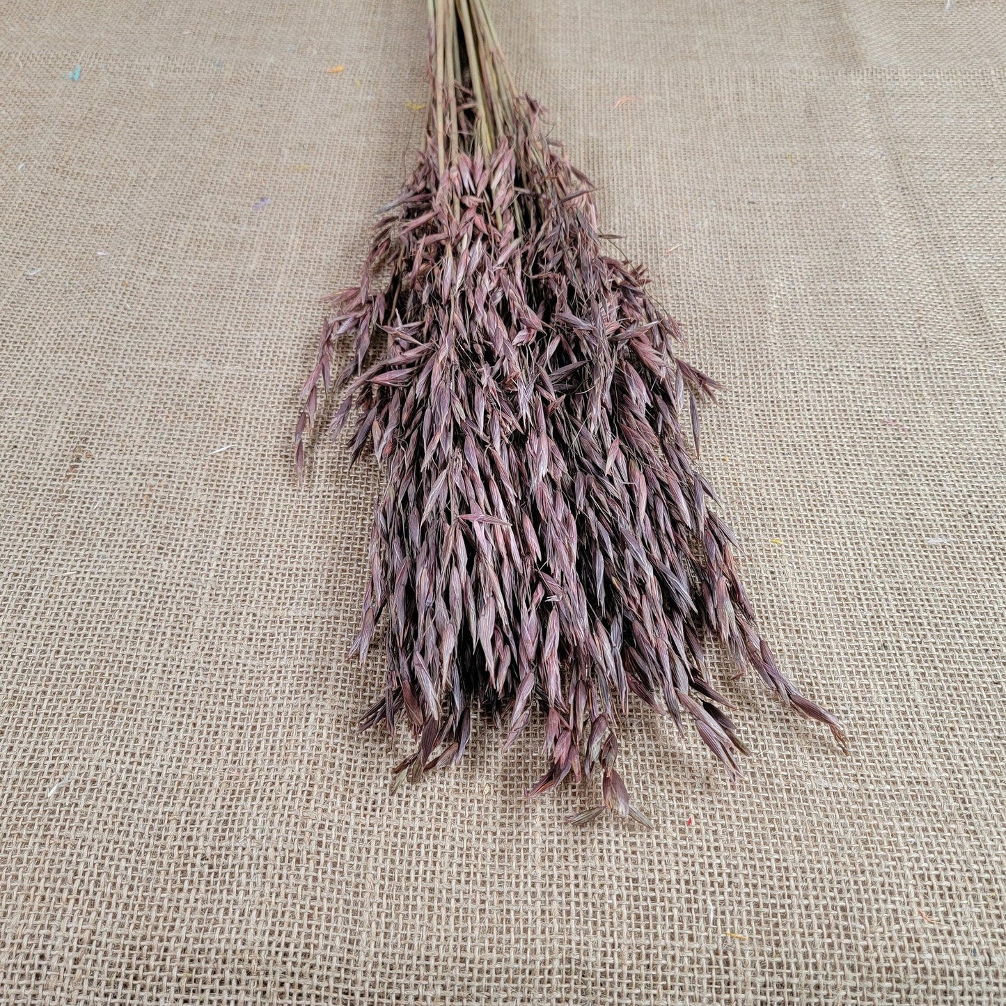 Dried Oats Flower Bundle: Home & Wedding Decor, 20 Stems