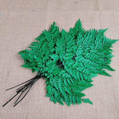Preserved Fern, Green Leather Leaf, 10 Stems Preserved Soft and Whispy Wedding Ferns-Tree Fern-Pink Ferns-Floral Decor