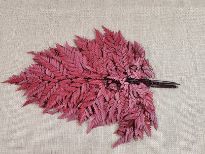 Wine Red Preserved Fern Leather Leaf: 10 Stems Floral Decor