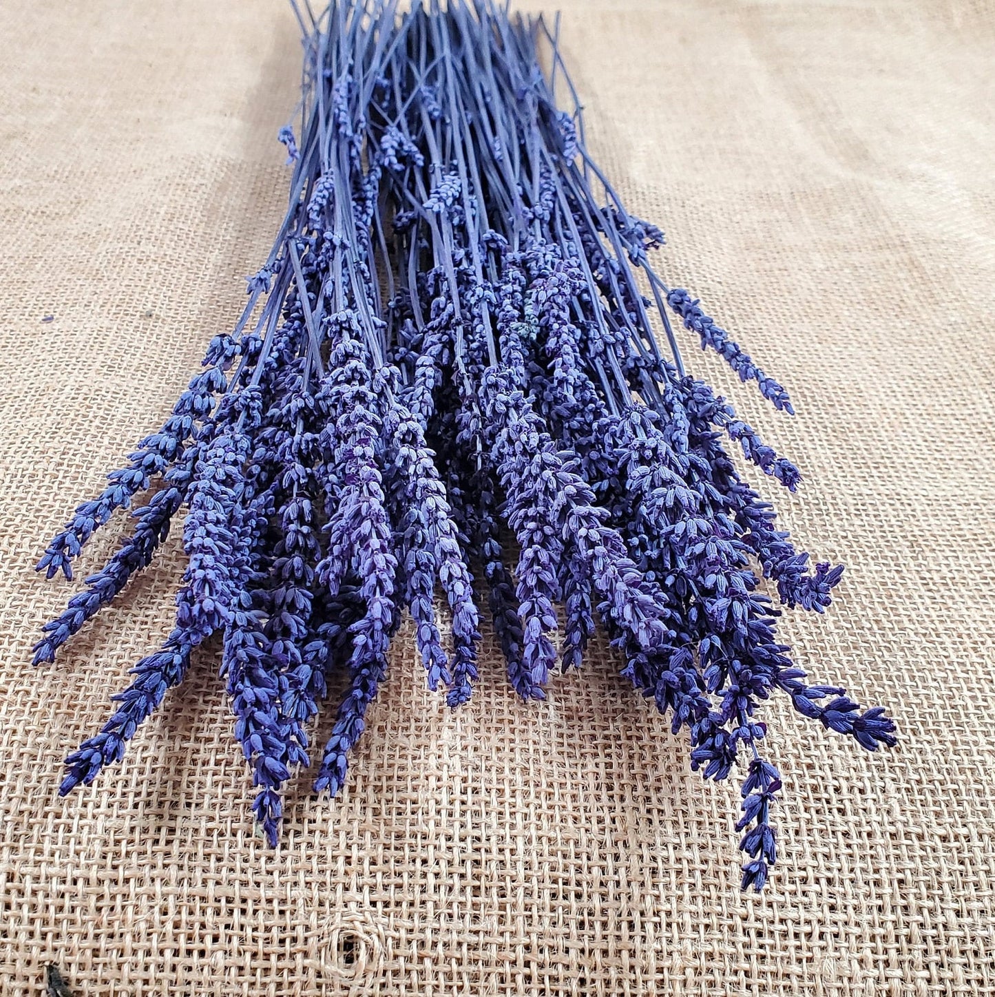 Organic Dried Lavender: Bulk Wholesale, Relaxing Aroma (4oz)