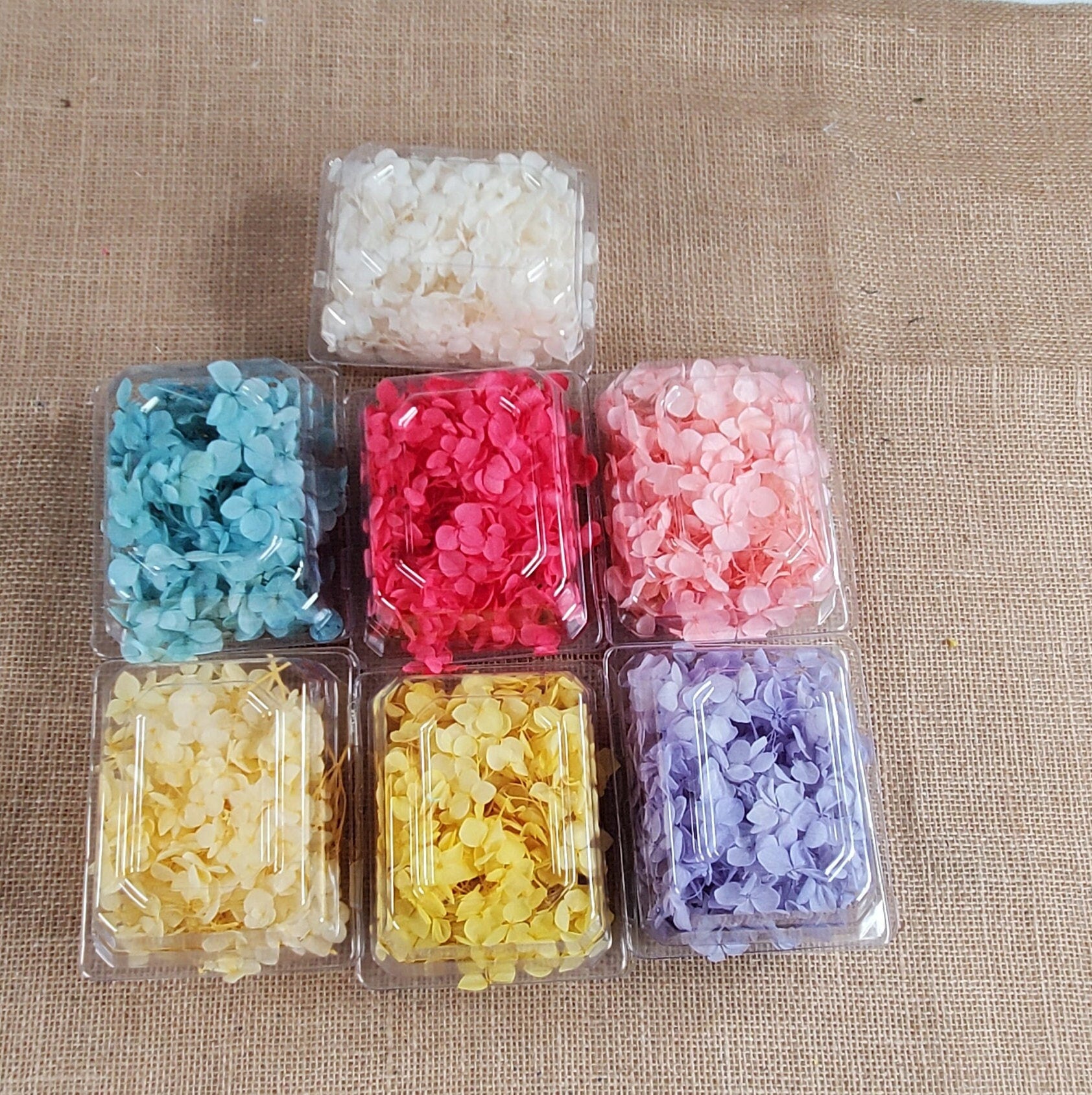 Preserved Hydrangeas: Colorful Dried Flowers, Wedding Home Decor