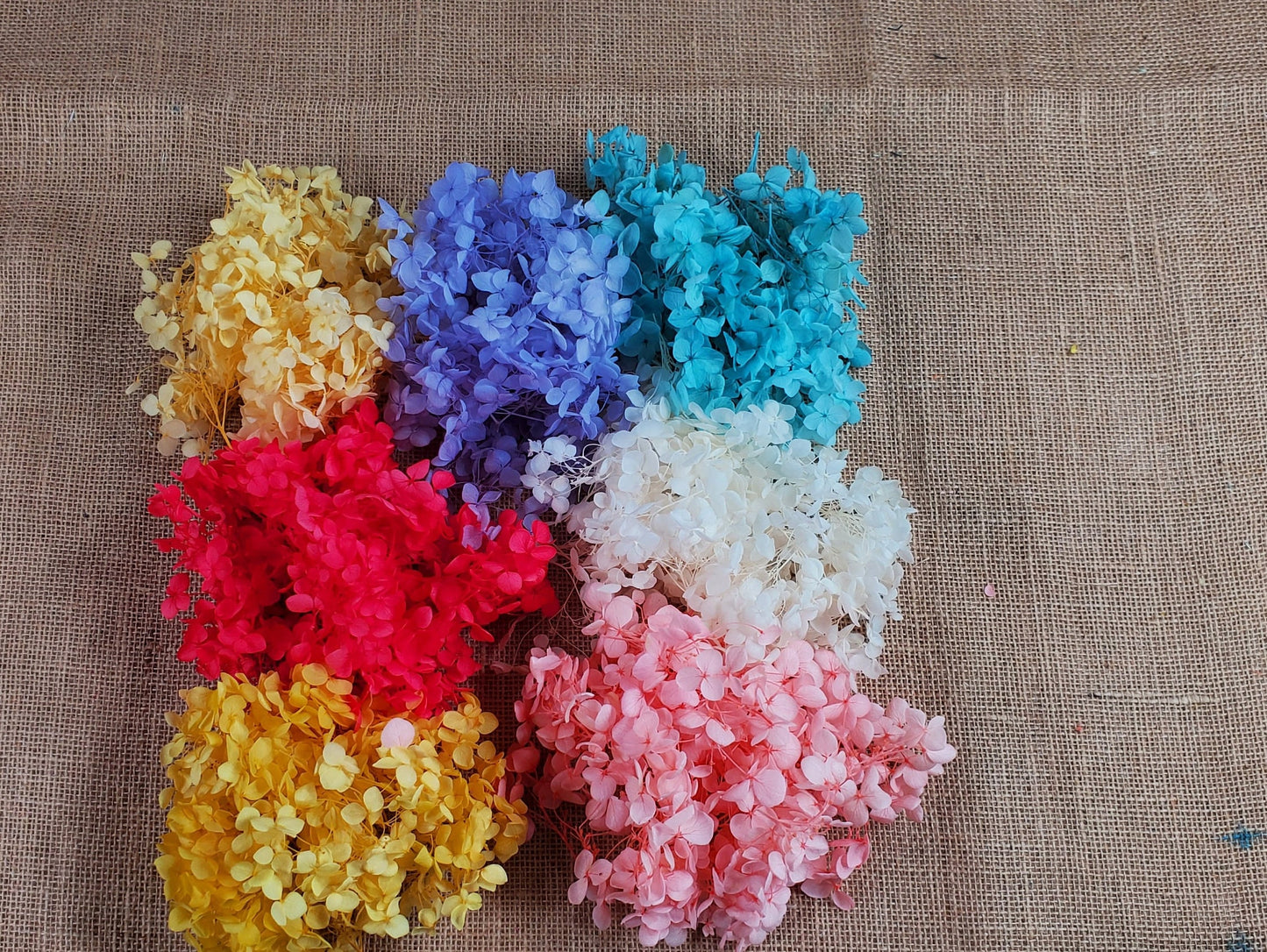 Preserved Hydrangeas: Colorful Dried Flowers, Wedding Home Decor