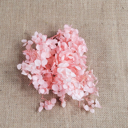 Preserved Hydrangeas: Colorful Dried Flowers, Wedding Home Decor