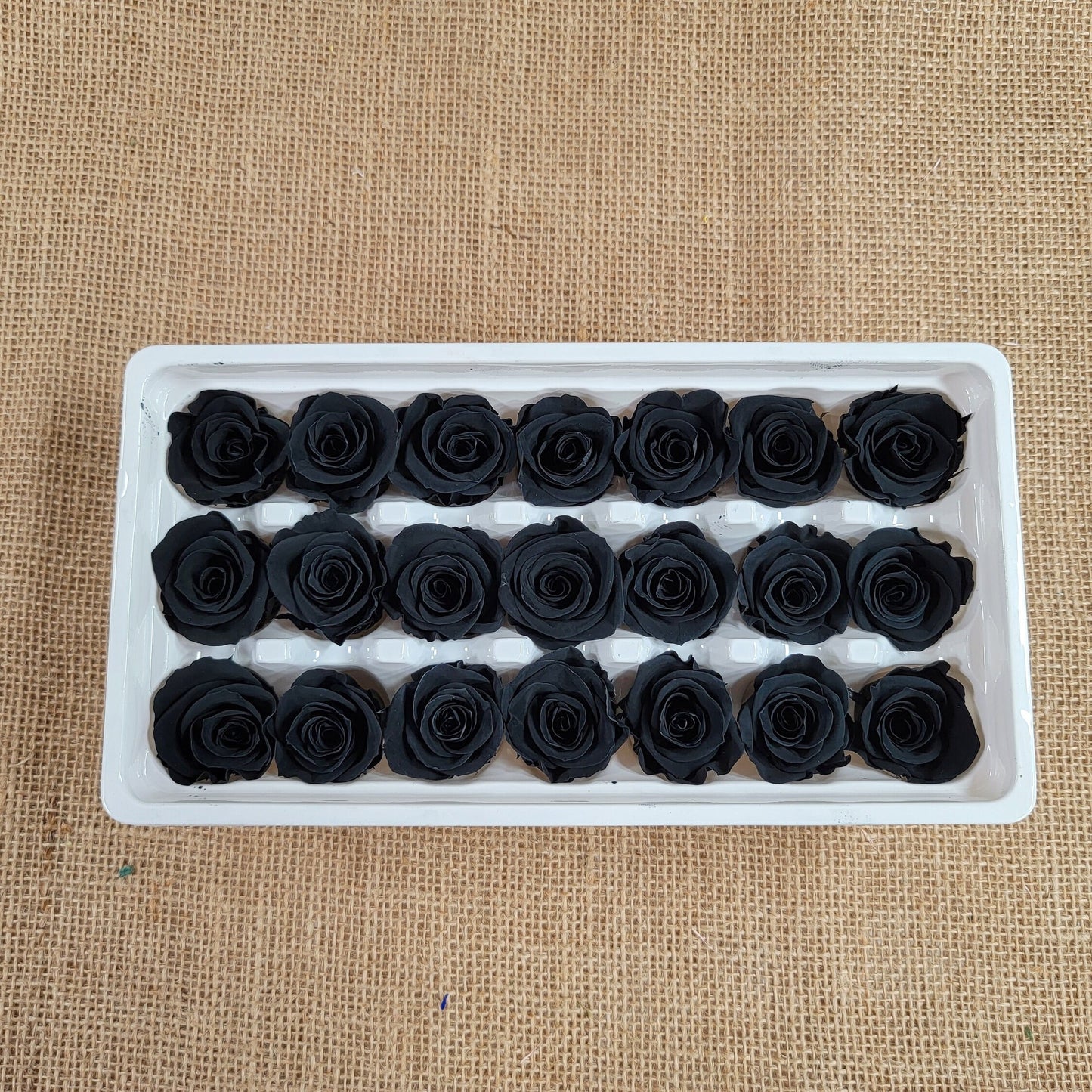 Black Preserved Rose Boutonniere: Wedding Prom Corsage