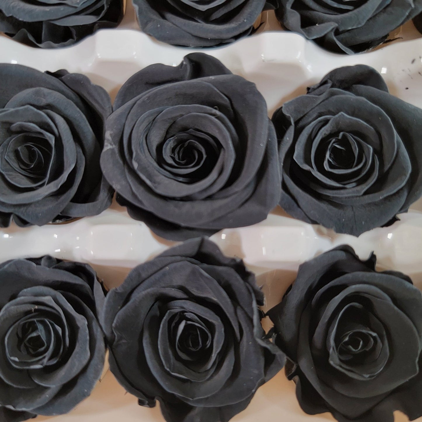 Black Preserved Rose Boutonniere: Wedding Prom Corsage