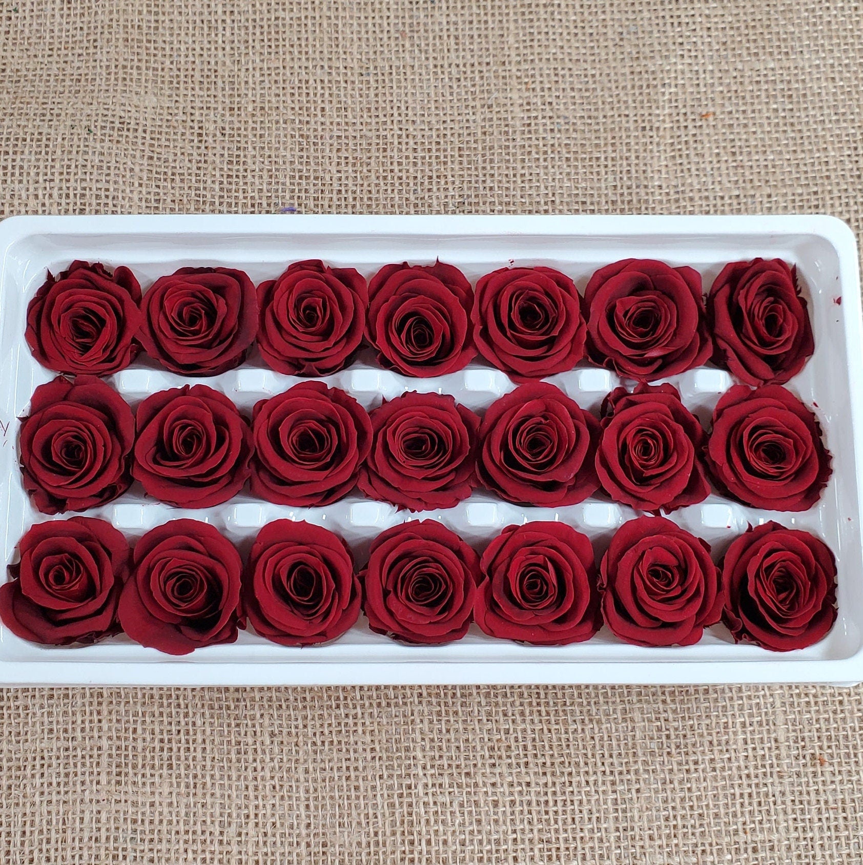 21 Red Preserved Roses / Prom, Mother's Day Flowers, Wedding Decor, Red Roses For Bouquet, Vase, Home Decor & DIY Floral Arrangements