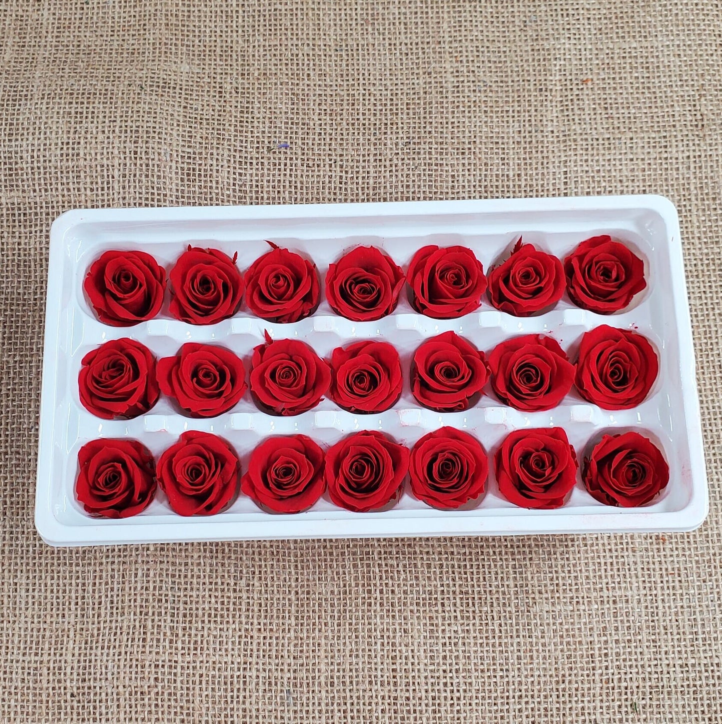 21 Red Preserved Roses / Prom, Mother's Day Flowers, Wedding Decor, Red Roses For Bouquet, Vase, Home Decor & DIY Floral Arrangements
