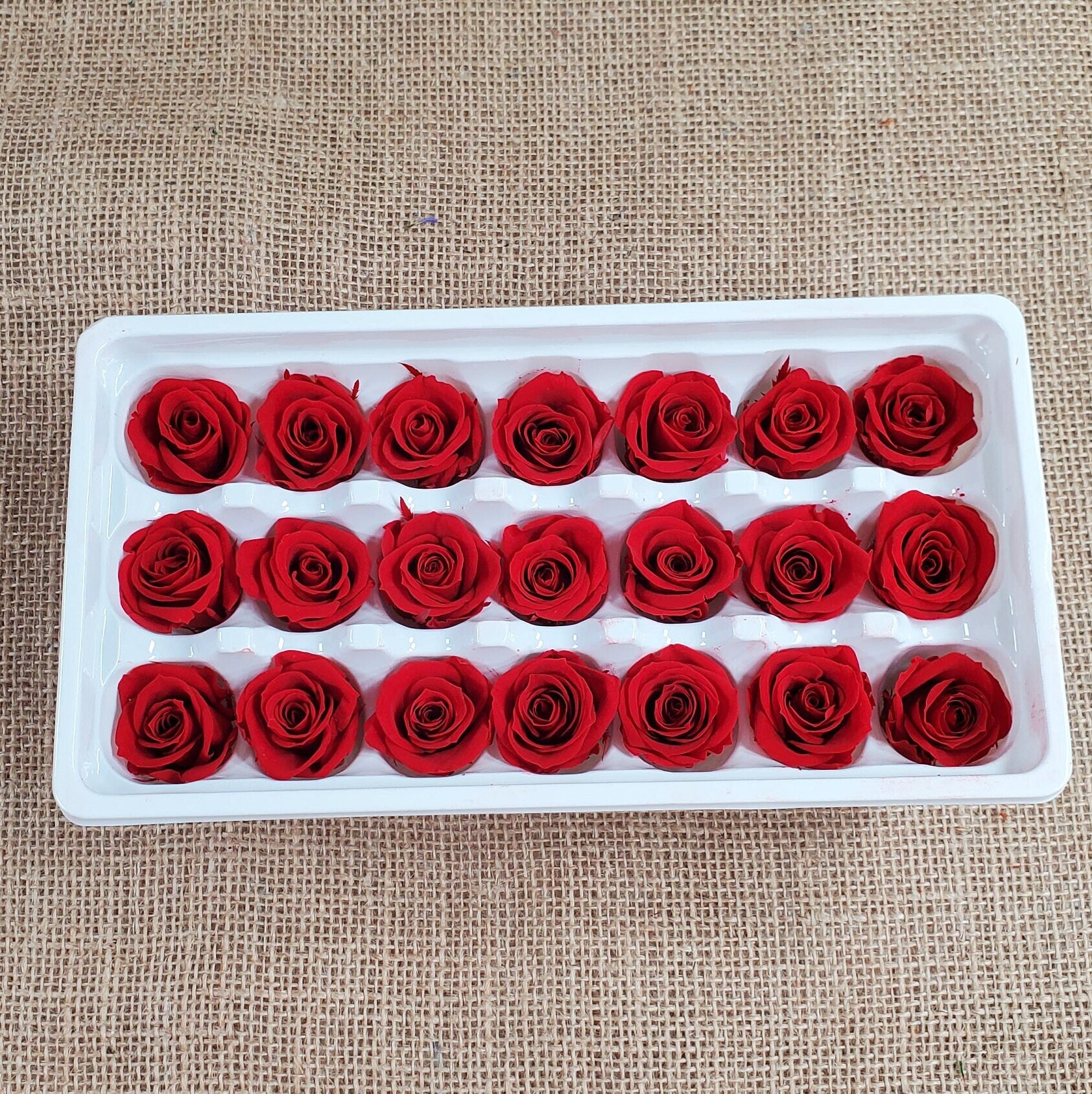 21 Red Preserved Roses / Prom, Mother's Day Flowers, Wedding Decor, Red Roses For Bouquet, Vase, Home Decor & DIY Floral Arrangements