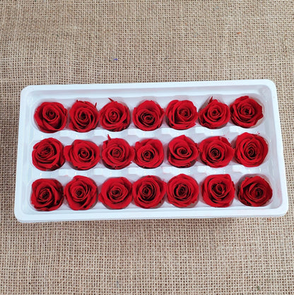 21 Red Preserved Roses / Prom, Mother's Day Flowers, Wedding Decor, Red Roses For Bouquet, Vase, Home Decor & DIY Floral Arrangements