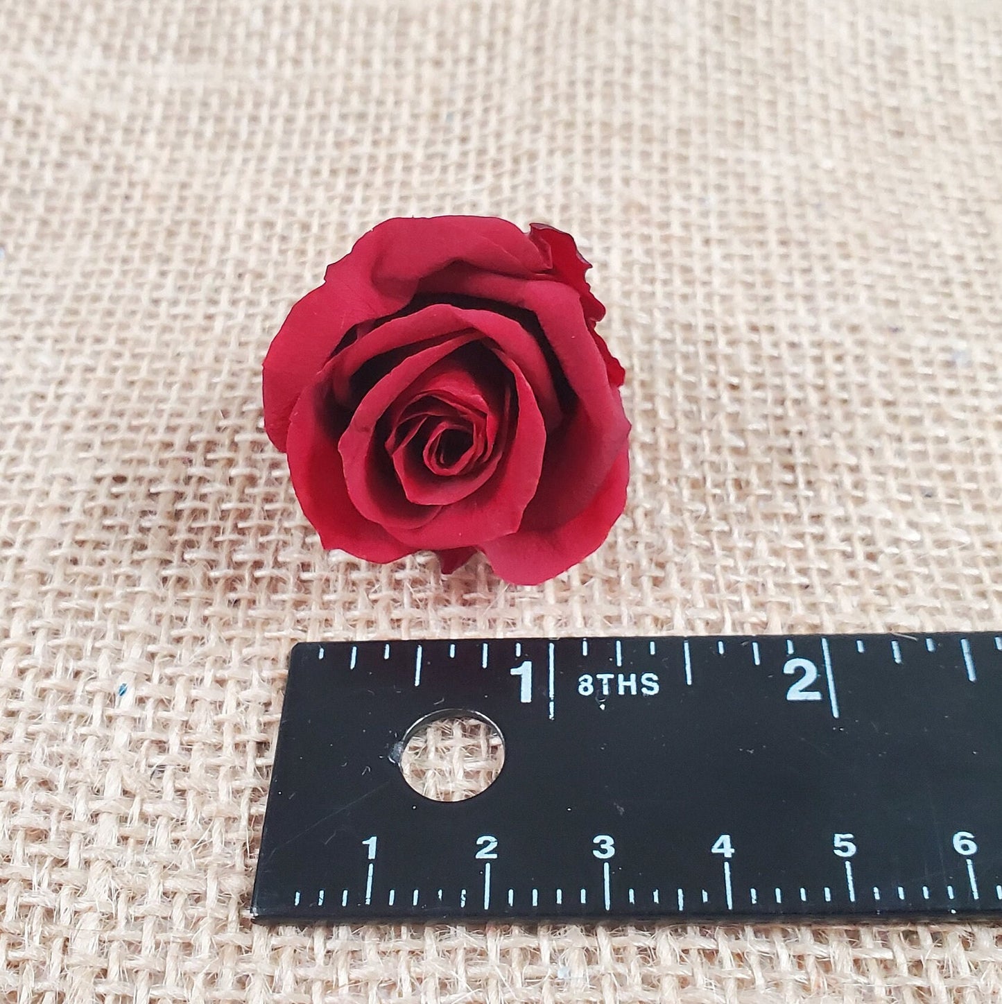 21 Red Preserved Roses / Prom, Mother's Day Flowers, Wedding Decor, Red Roses For Bouquet, Vase, Home Decor & DIY Floral Arrangements
