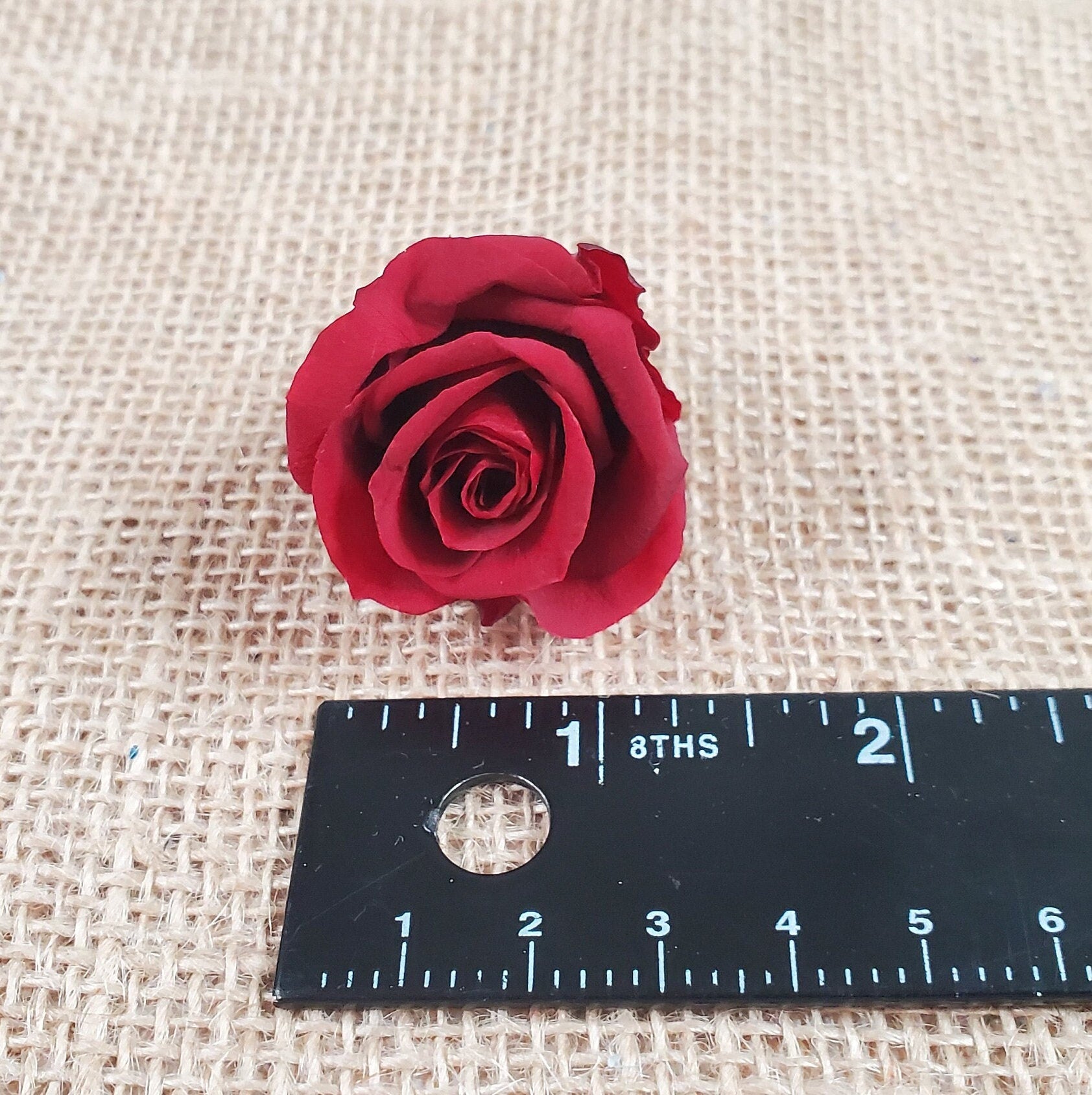 21 Red Preserved Roses / Prom, Mother's Day Flowers, Wedding Decor, Red Roses For Bouquet, Vase, Home Decor & DIY Floral Arrangements