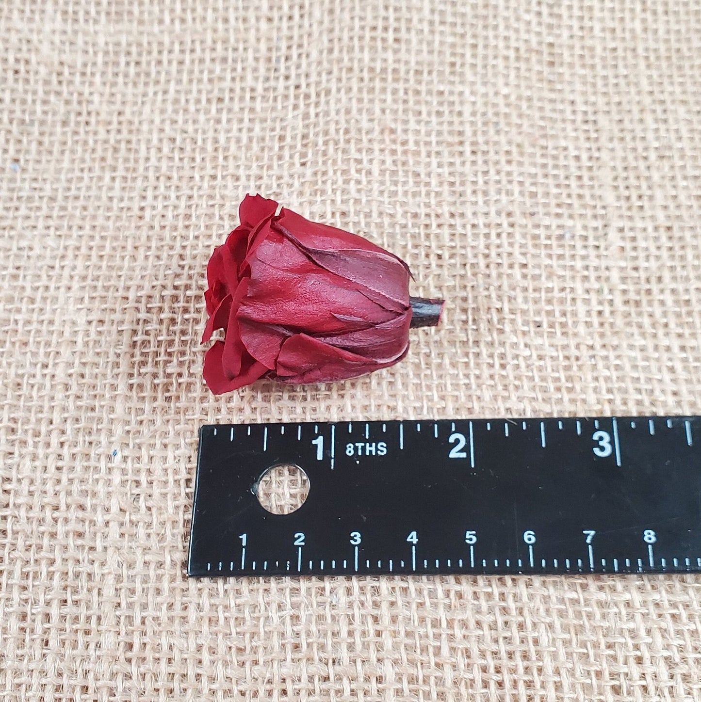 21 Red Preserved Roses / Prom, Mother's Day Flowers, Wedding Decor, Red Roses For Bouquet, Vase, Home Decor & DIY Floral Arrangements
