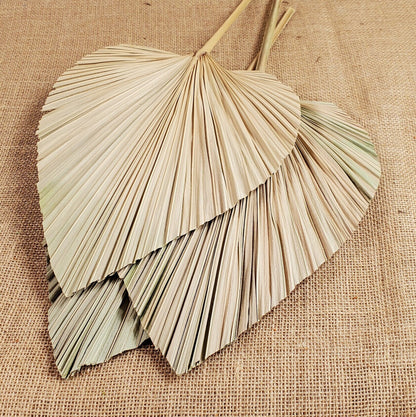 3 Pcs Natural Dried Palm Spears: Boho Wedding Decor