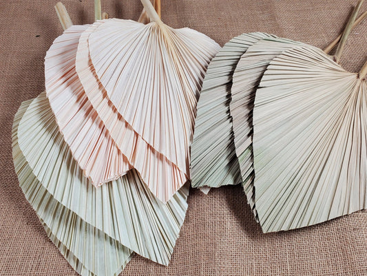 3 Pcs Natural Dried Palm Spears: Boho Wedding Decor