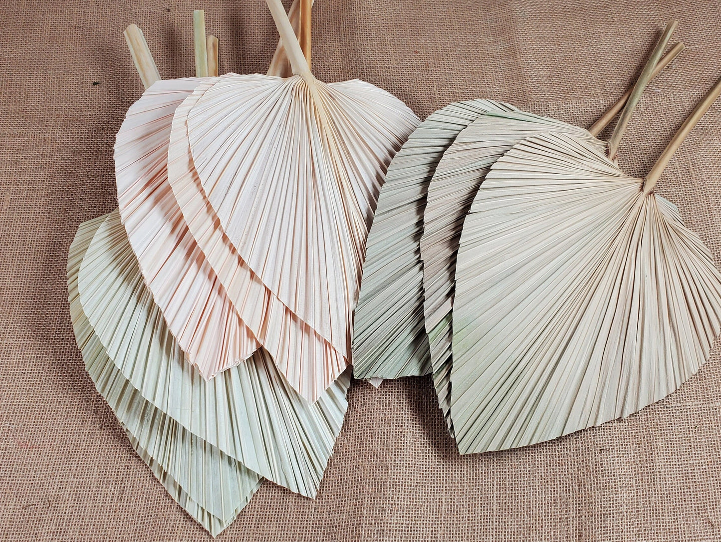 3 Pcs Natural Dried Palm Spears: Boho Wedding Decor