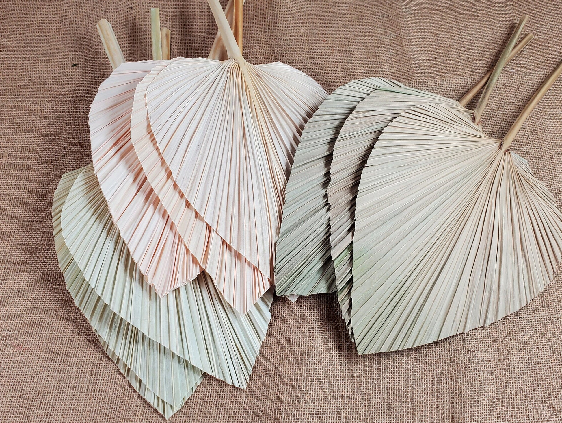 3 Pcs Natural Dried Palm Spears: Boho Wedding Decor