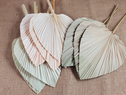 3 Pcs Natural Dried Palm Spears: Boho Wedding Decor
