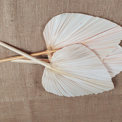 3 Pcs Natural Dried Palm Spears: Boho Wedding Decor