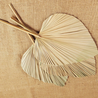 3 Pcs Natural Dried Palm Spears: Boho Wedding Decor