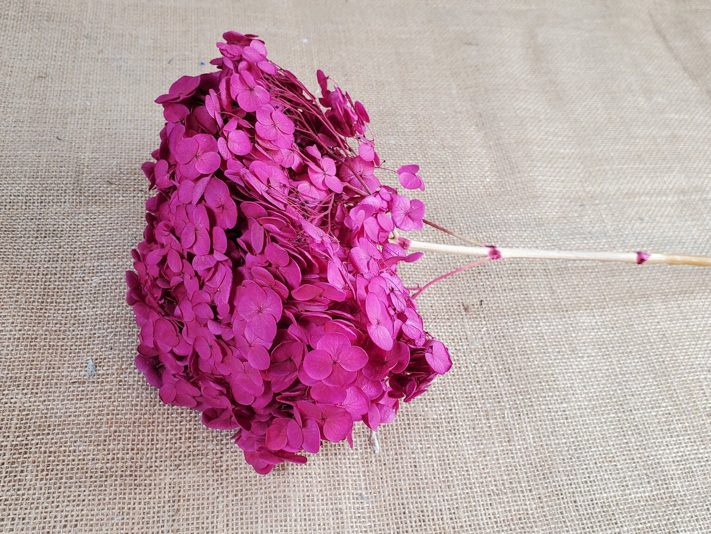 Rose Red Preserved Hydrangea: Wedding Flowers, 18-20" Tall