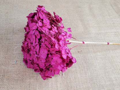 Rose Red Preserved Hydrangea: Wedding Flowers, 18-20" Tall