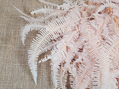 Light Pink Preserved Mountain Fern Leaf: Floral Arrangement, Vase Bouquet