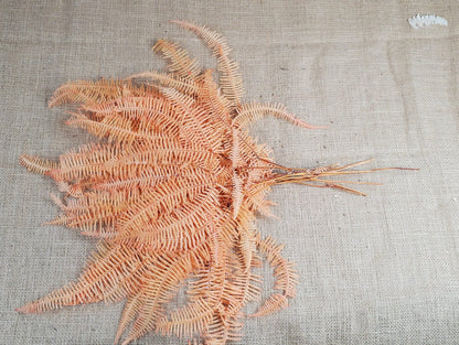 Orange Preserved Mountain Fern Leaf - Floral Arrangement, Home Decor (10 Pack)