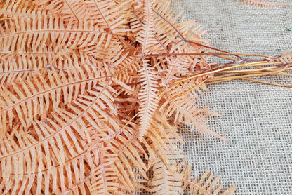 Orange Preserved Mountain Fern Leaf - Floral Arrangement, Home Decor (10 Pack)