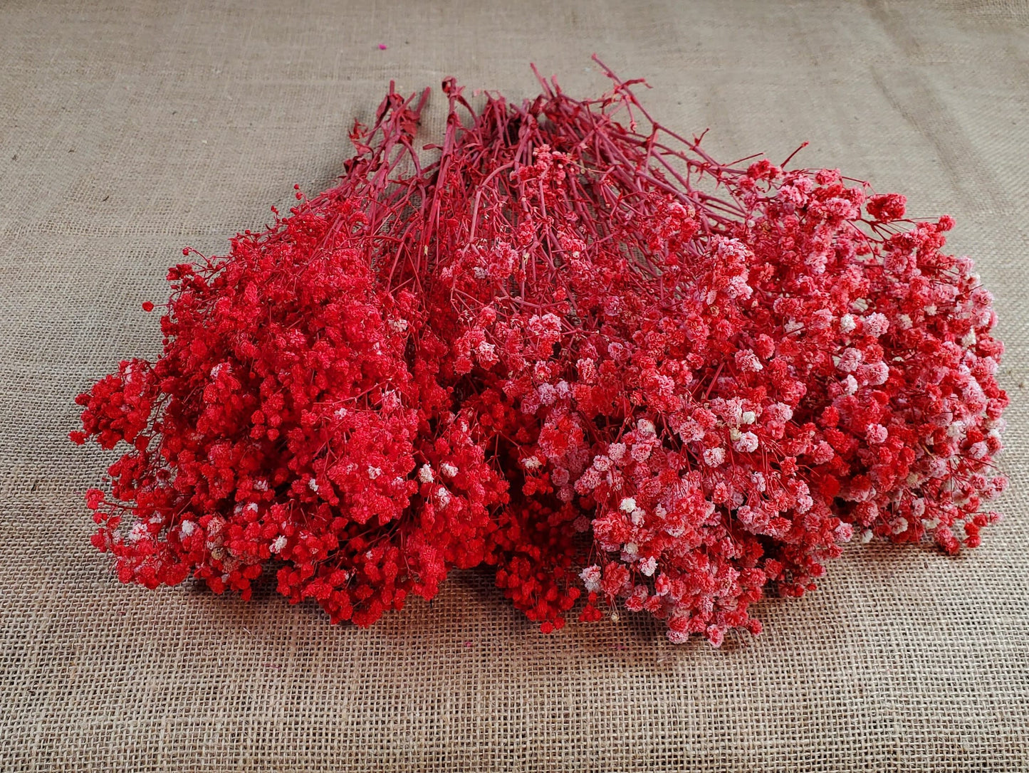 Red Preserved Baby's Breath Bundle: Natural Gypsophilia