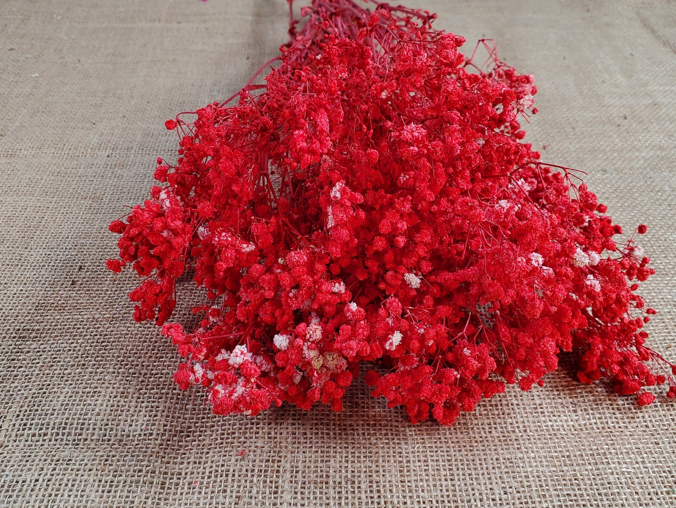 Red Preserved Baby's Breath Bundle: Natural Gypsophilia