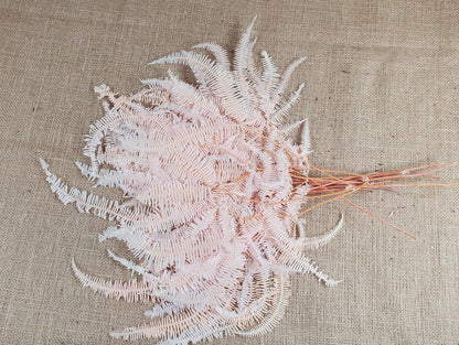 Light Pink Preserved Mountain Fern Leaf: Floral Arrangement, Vase Bouquet