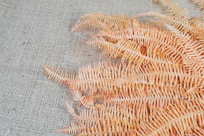 Orange Preserved Mountain Fern Leaf - Floral Arrangement, Home Decor (10 Pack)