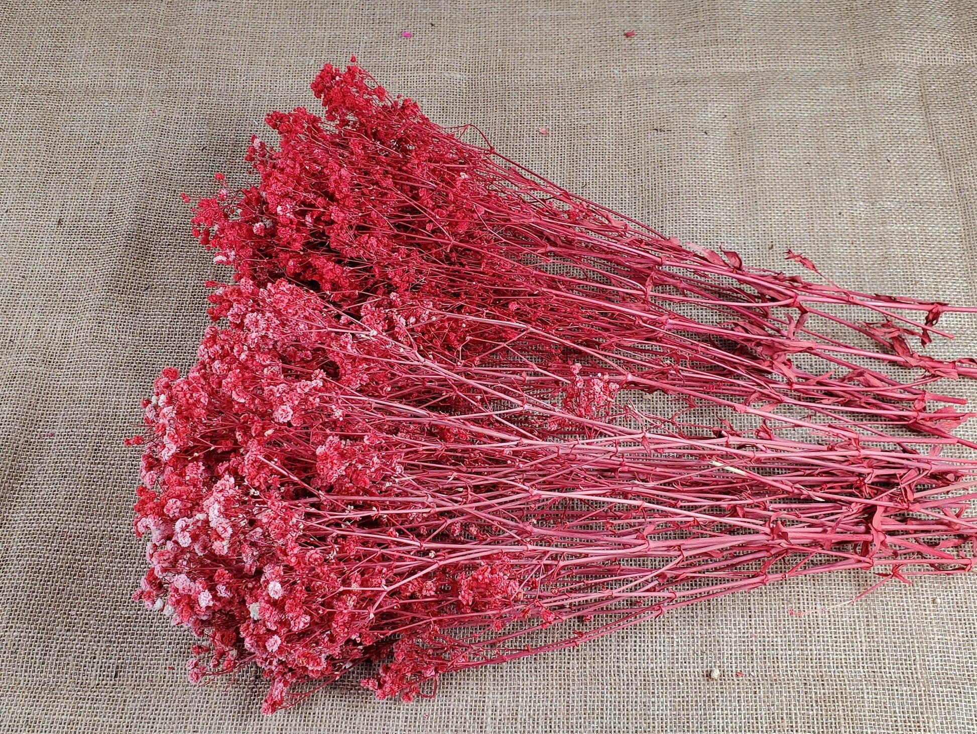 Red Preserved Baby's Breath Bundle: Natural Gypsophilia