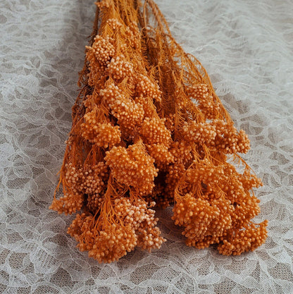 Bleached Orange Preserved Rice Flower: Wedding Bouquet Arrangement (19-20" Tall)
