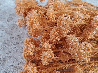 Bleached Orange Preserved Rice Flower: Wedding Bouquet Arrangement (19-20" Tall)