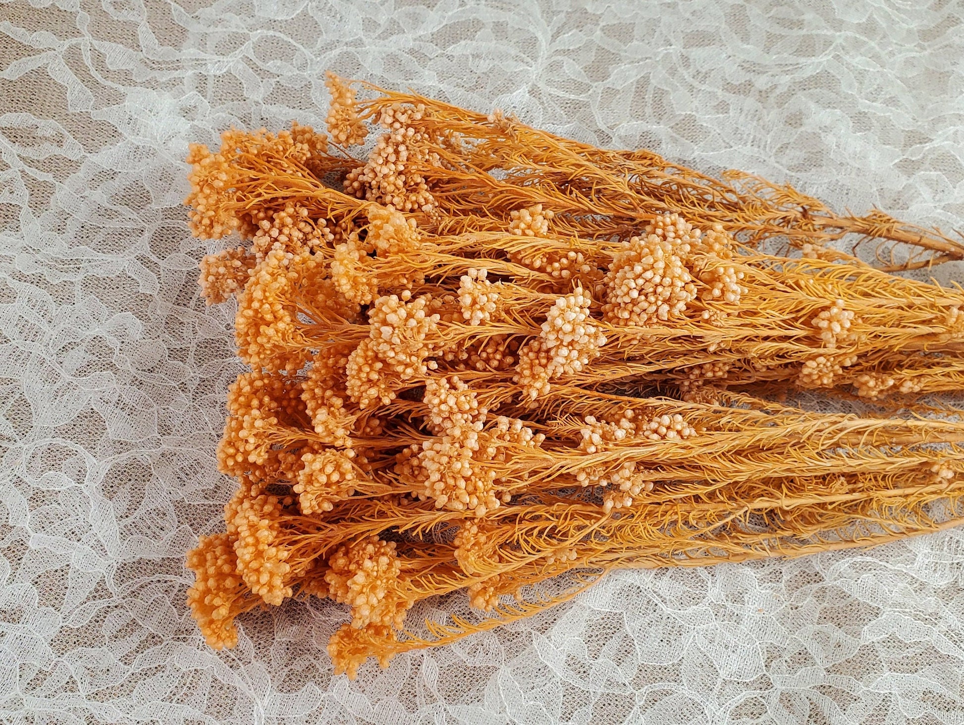 Bleached Orange Preserved Rice Flower: Wedding Bouquet Arrangement (19-20" Tall)