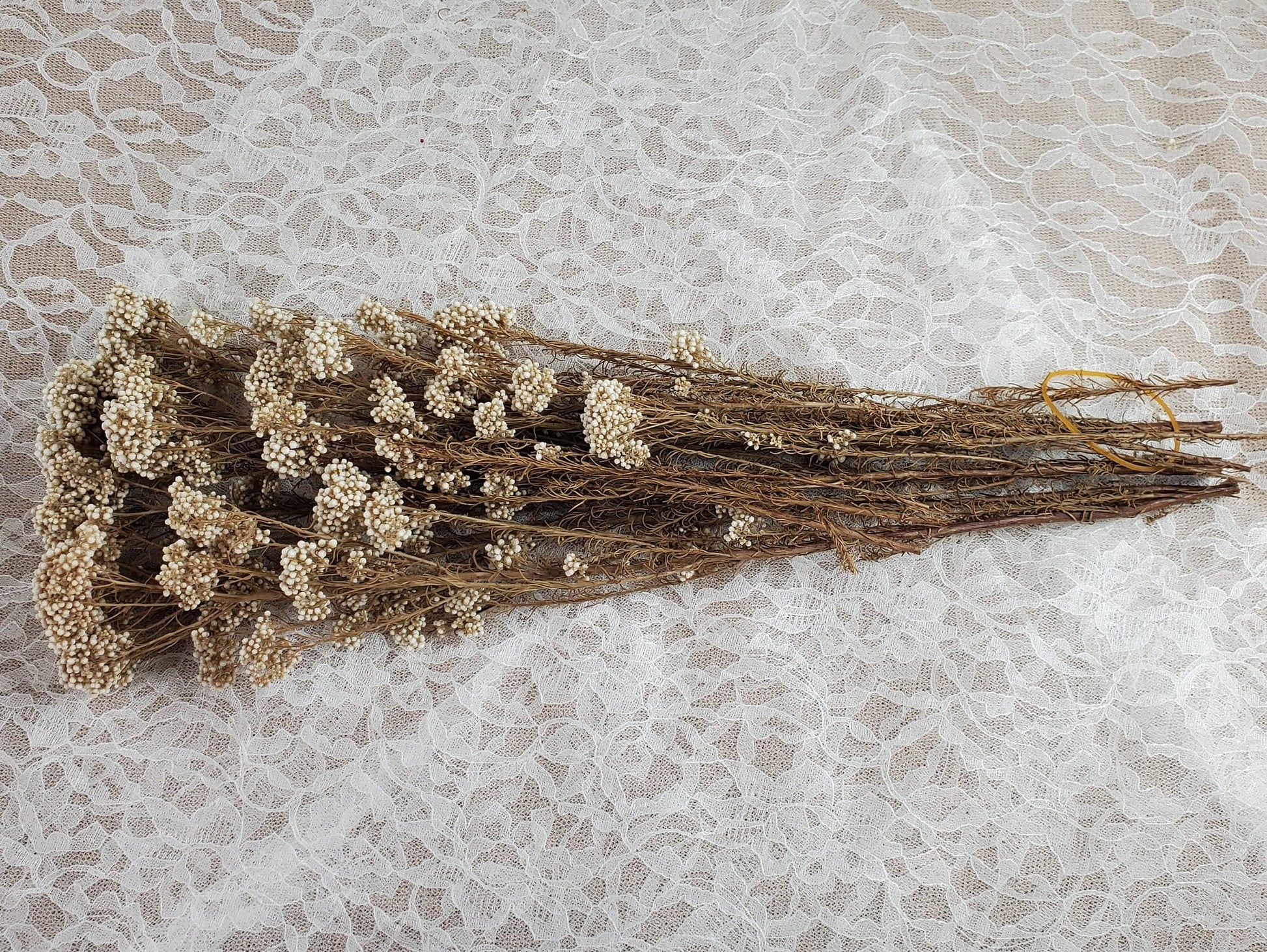 Beige Preserved Rice Flower: Dried Floral Arrangement, Wedding Decor (19-20" Tall)
