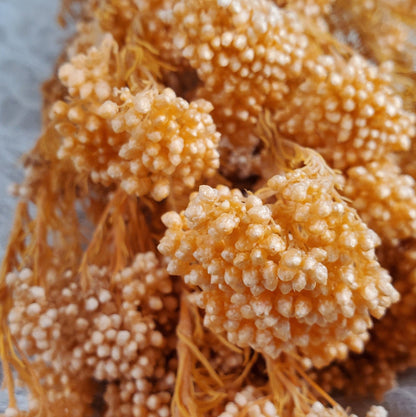 Bleached Orange Preserved Rice Flower: Wedding Bouquet Arrangement (19-20" Tall)