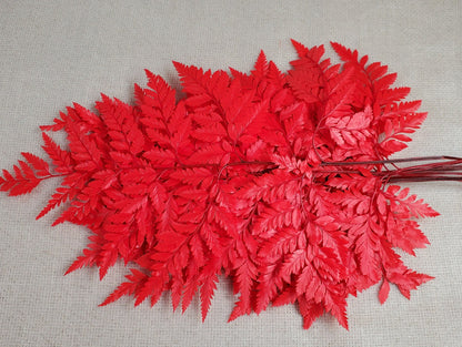 Red Preserved Fern: Wedding Bouquet Filler, Dried Flower Arrangement (19-20" Tall)