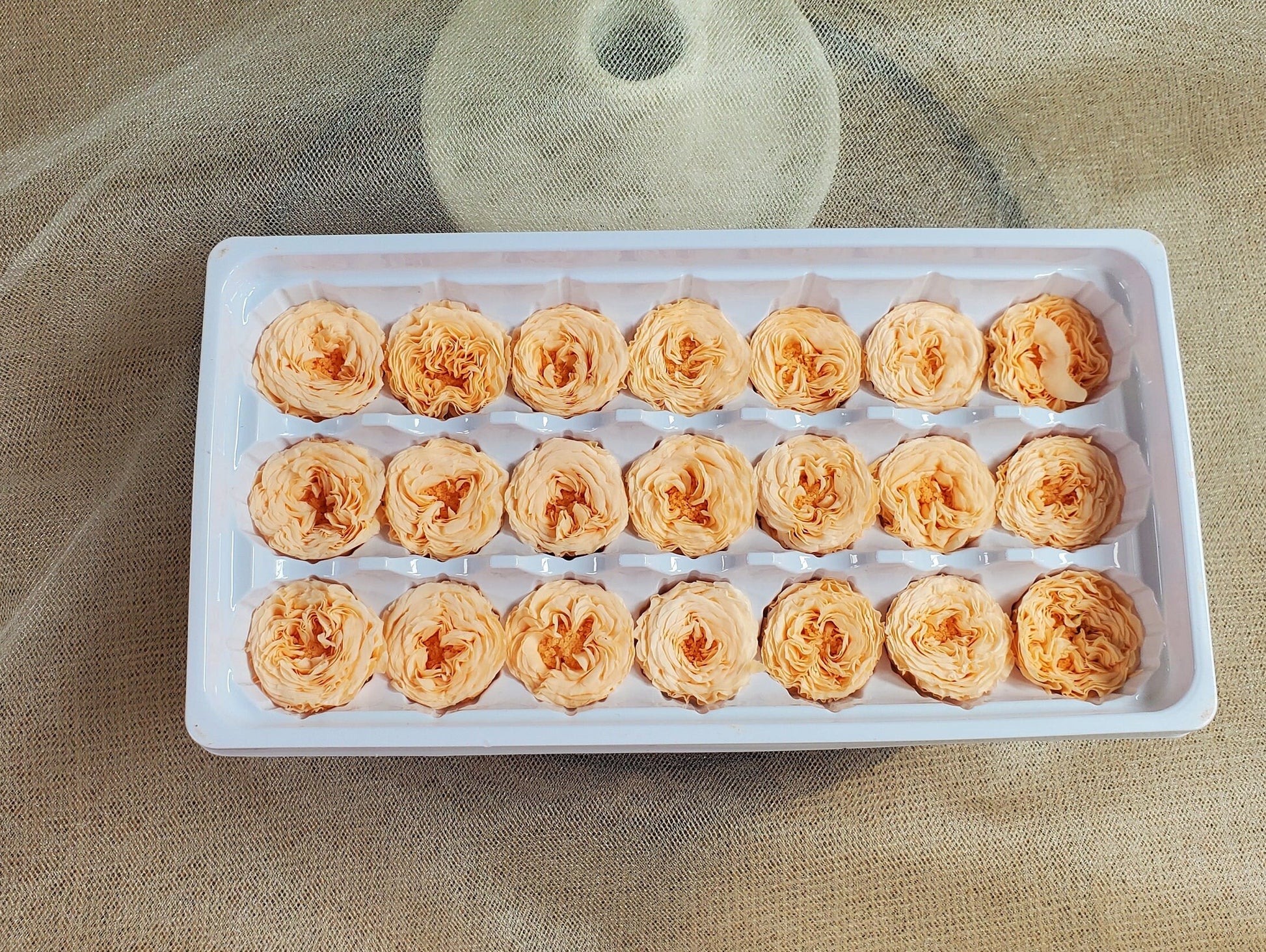 21 Champagne Preserved Roses: Dried Floral Wedding Decor