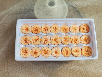 21 Champagne Preserved Roses: Dried Floral Wedding Decor