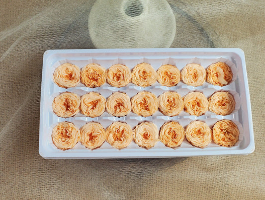 21 Champagne Preserved Roses: Dried Floral Wedding Decor