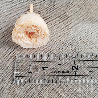 21 Champagne Preserved Roses: Dried Floral Wedding Decor