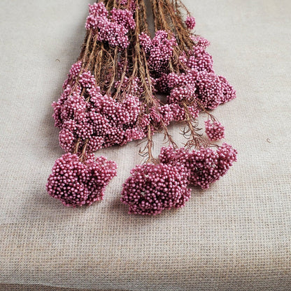 Light Purplish Red Preserved Rice Flower: Dried Floral Arrangement (19-20" Tall)