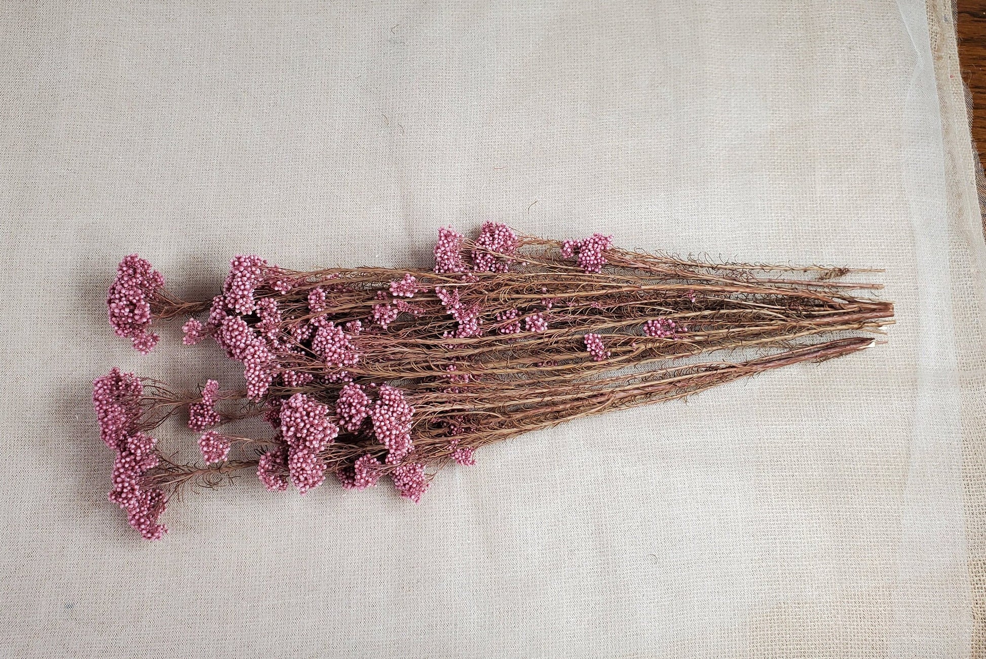 Light Purplish Red Preserved Rice Flower: Dried Floral Arrangement (19-20" Tall)