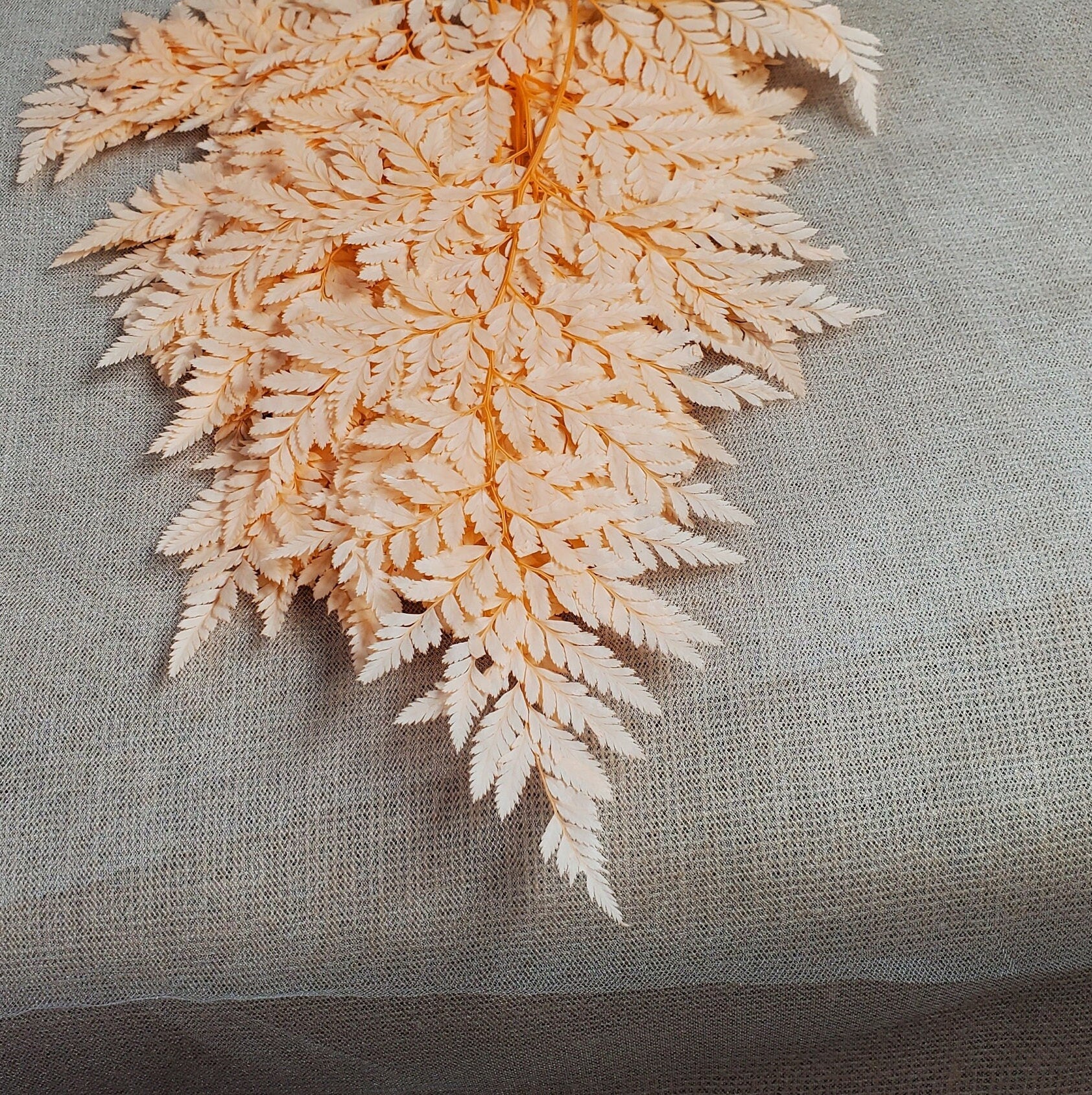 Champagne Preserved Fern: Wedding Bouquet Filler, Dried Flower Arrangement (19-20" Tall)