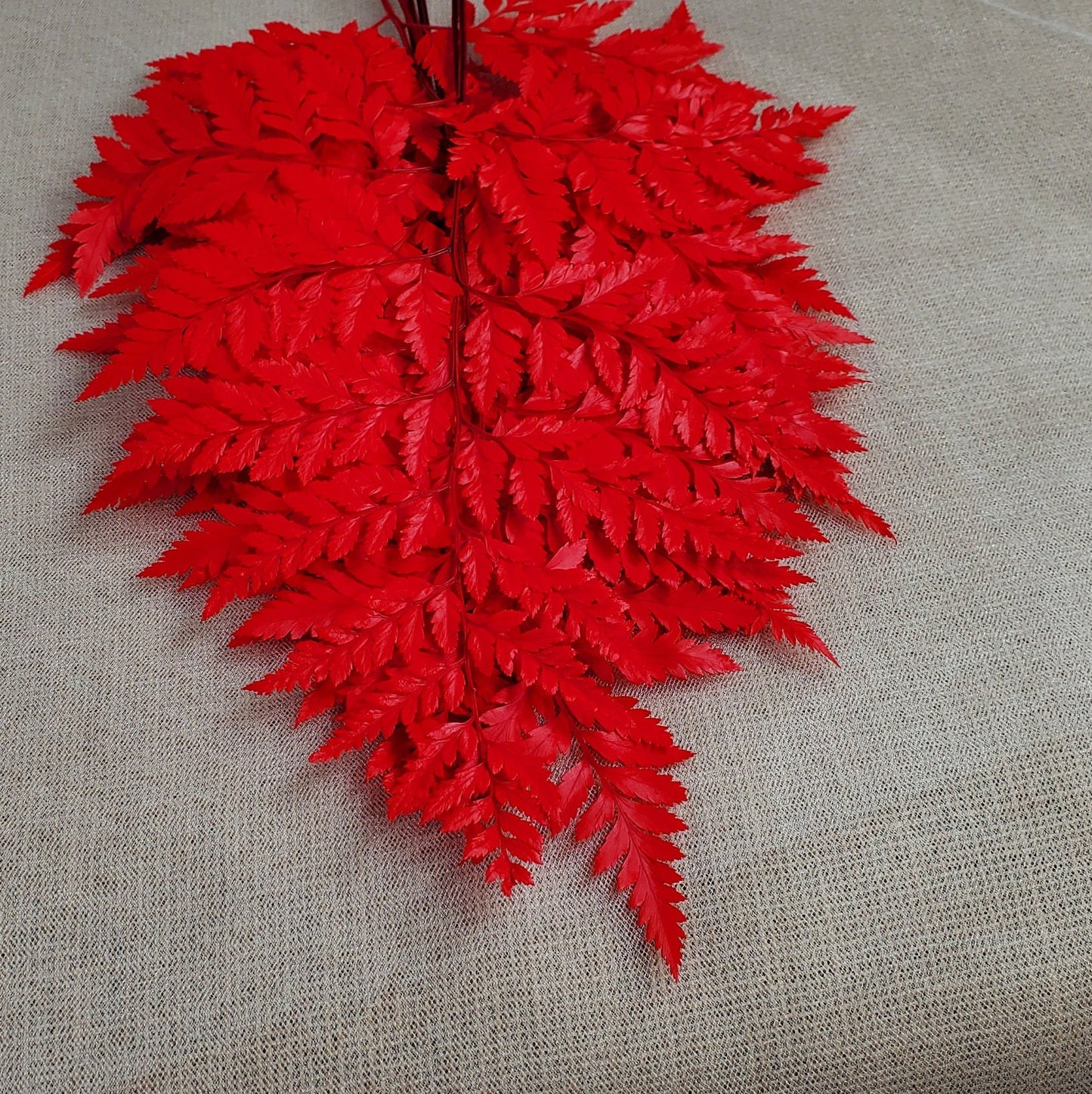Red Preserved Fern: Wedding Bouquet Filler, Dried Flower Arrangement (19-20" Tall)