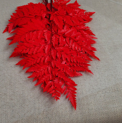 Red Preserved Fern: Wedding Bouquet Filler, Dried Flower Arrangement (19-20" Tall)